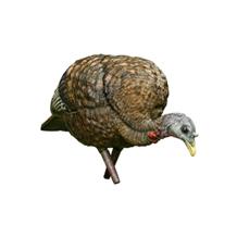 Avian-X LCD Feeder Turkey Decoy