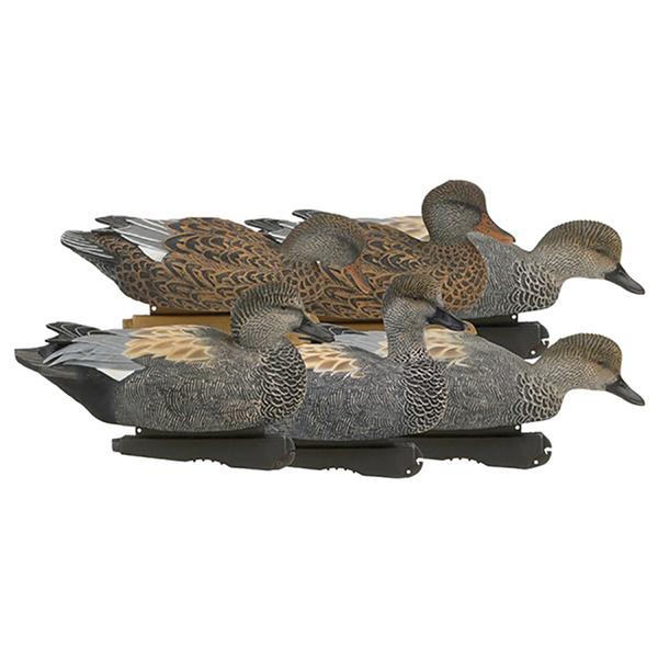 Pro-Grade GADWALL 6-PACK
