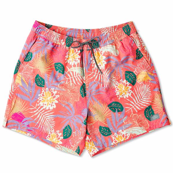 Strike Swim Shorts Print CORAL