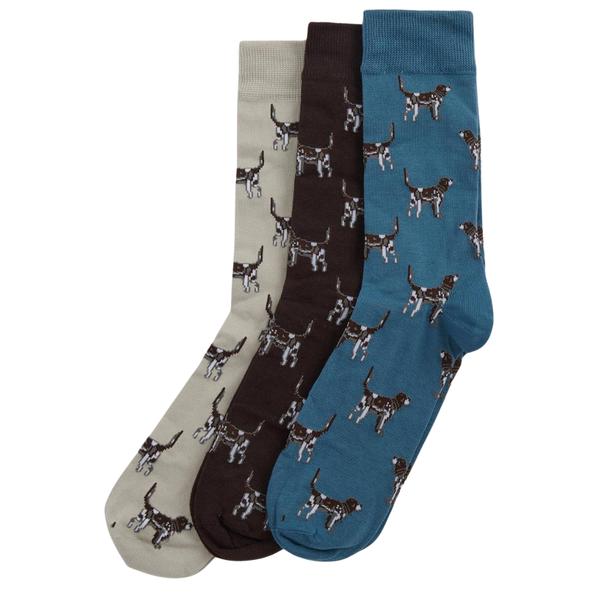 Pointer Dog Socks Gift Box