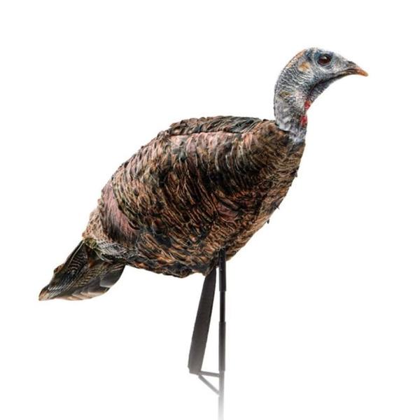 MISS PURR-FECT XD 3D HEN