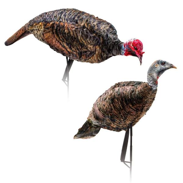 PURR-FECT PAIR XD COMBO