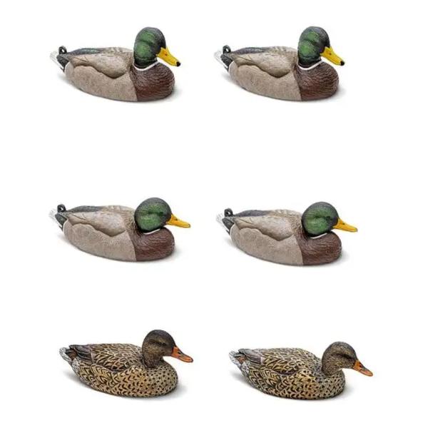 MALLARD 6 PACK EVA
