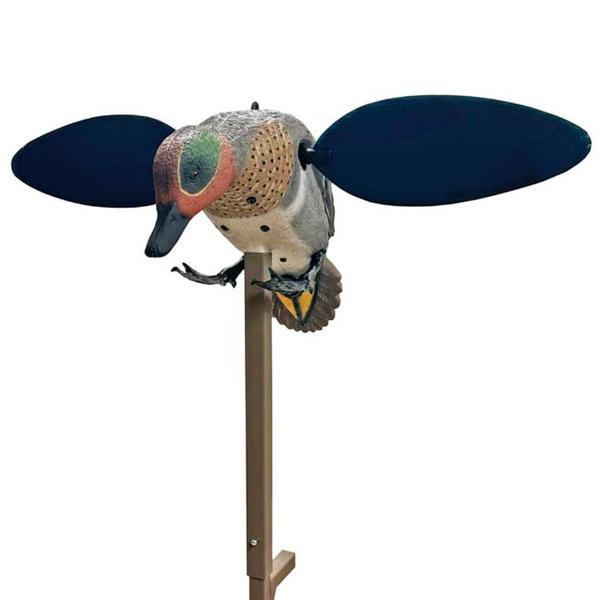 GREEN WING TEAL DRAKE 