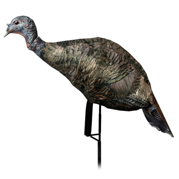 Miss Purr-fect XD3 Hen