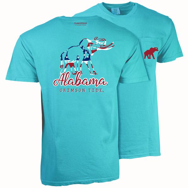 AMERICAN OUTLINE CC S/S TEE LAGOON