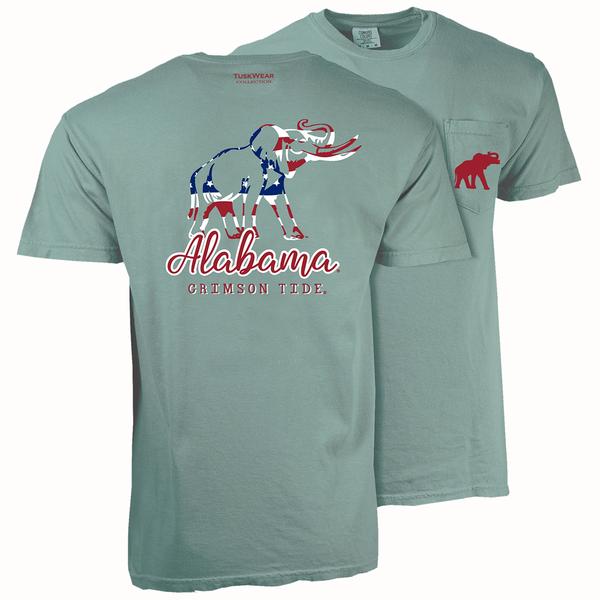AMERICAN OUTLINE CC S/S TEE LIGHTGREEN